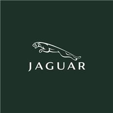 بررسی لوگو جگوار (Jaguar)