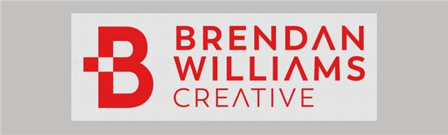 چگونه رنگ لوگو را تغییر دهیم؟