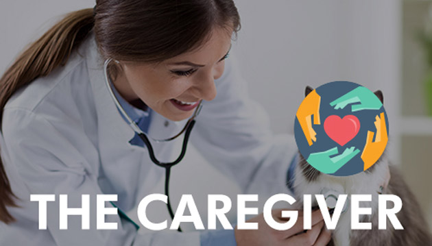 آرکتایپ حامی