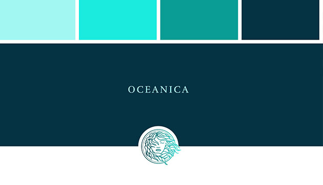 طراحی لوگو اسکین کر