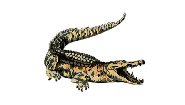 تاریخچه طراحی لوگو لاگوست