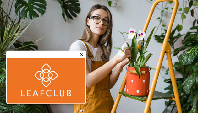 انواع لوگوی متقارن