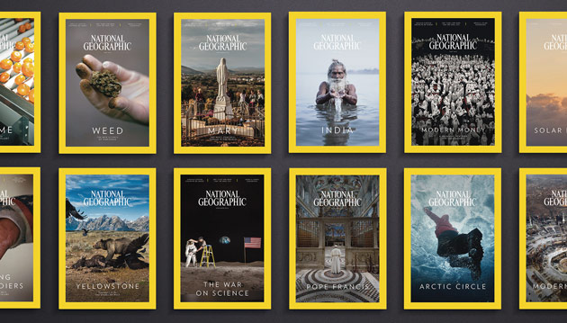 نشنال جئوگرافیک - برند جستجوگر