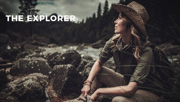 آرکیتایپ جستجوگر