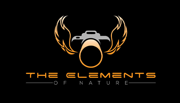 طراحی لوگو آتلیه عکاسی