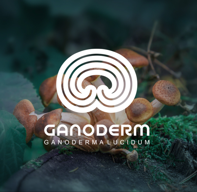 طراحی لوگوی شرکت گانودرم