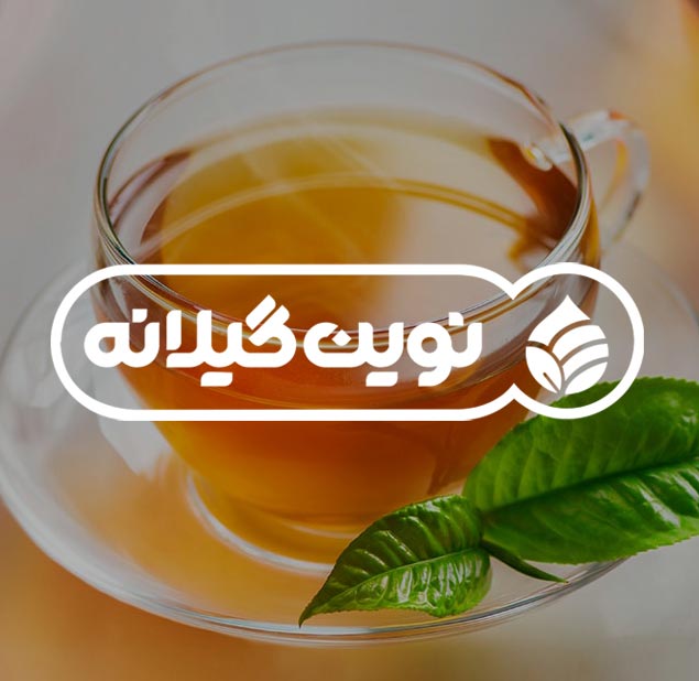 طراحی لوگو چای ارگانیک نوین گیلانه