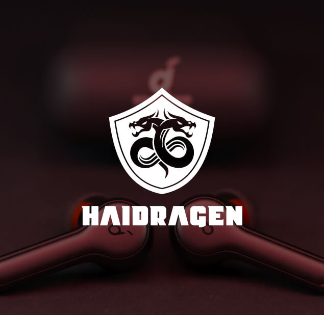 طراحی لوگو مجموعه هایدراگن