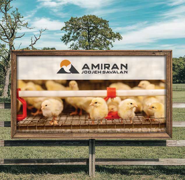 طراحی لوگو برند Amiran Joojeh Savalan