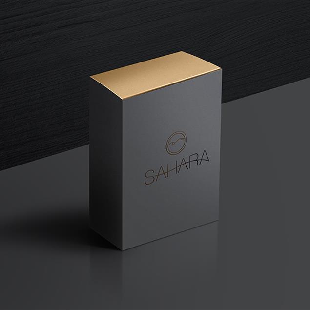 طراحی لوگو برند Sahara