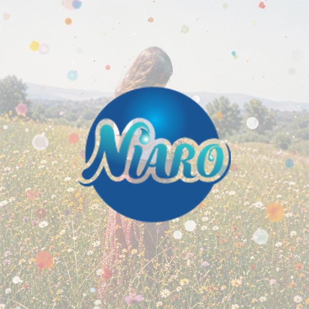 طراحی لوگو برند Niaro
