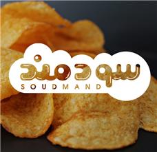 طراحی نشان شرکت سودمند