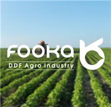 طراحی آرم شرکت فوکا