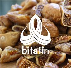 طراحی آرم برند بیتاتین