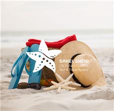 طراحی آرم آژانس هواپیمایی ساحل شنی درخشان