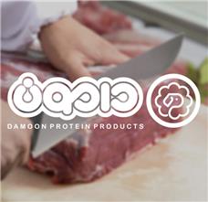 طراحی آرم فروشگاه دامون