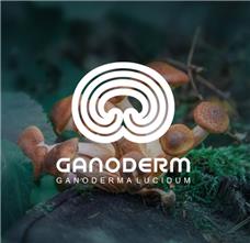 طراحی لوگوی شرکت گانودرم