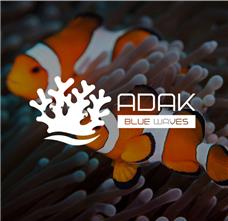 طراحی نشان شرکت آداک