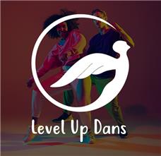 طراحی آرم مجموعه Level Up Dance