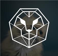 طراحی آرم مجموعه تایگون