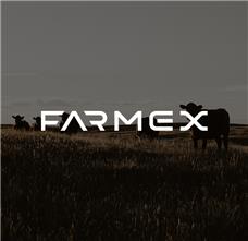 طراحی آرم مجموعه فارمکس 