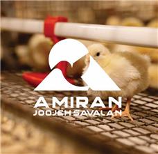  طراحی لوگو برند Amiran Joojeh Savalan