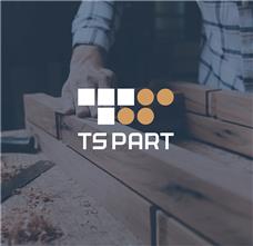 طراحی لوگو برند TS PART