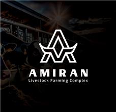 طراحی لوگو برند مجتمع دام پروری امیران