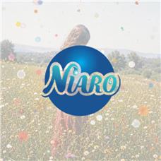 طراحی لوگو برند Niaro