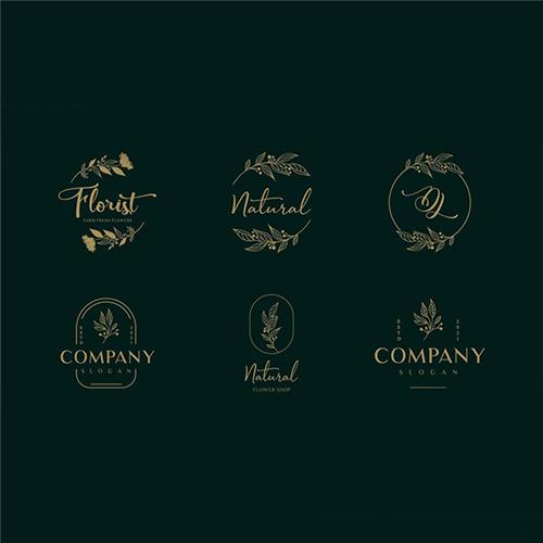 همه چیز درباره طراحی لوگو گل