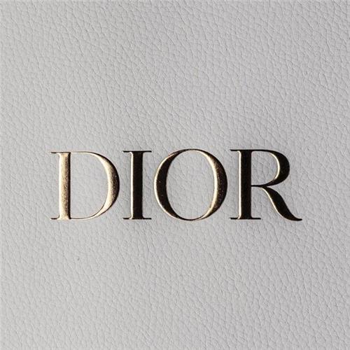 بررسی لوگو دیور