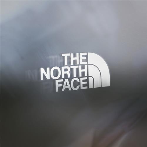 تاریخچه لوگو نورث فیس